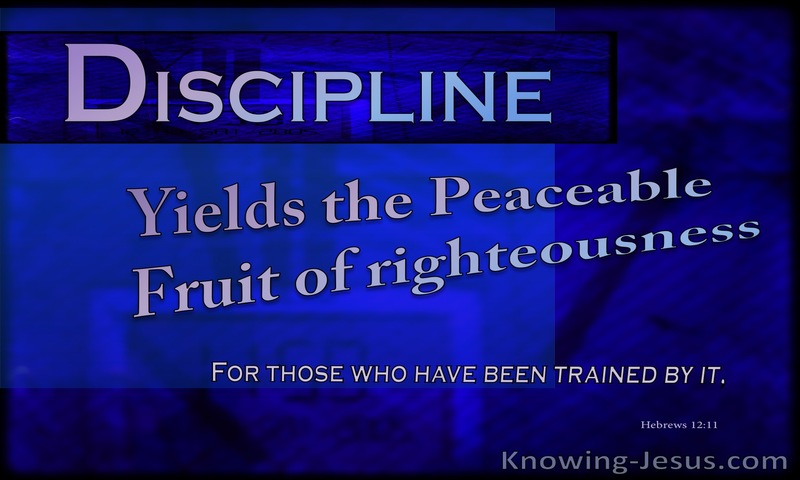 Hebrews 12:11 Discipline Yields The Fruit Of Righteousness (blue)